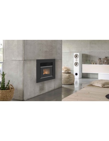 Chimenea de pellets Insertable canalizable -...