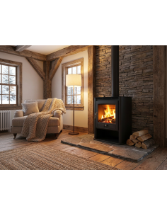 Estufa de leña - Arcadia 8 Kw 2