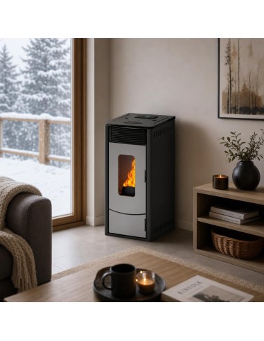 Pellets aire 11kW - VALI